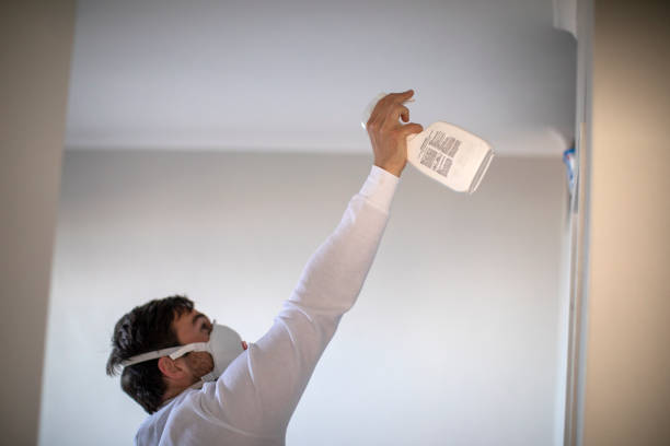 Best Localized Mold Remediation (e.g., coastal areas, humid climates) in Akron, OH